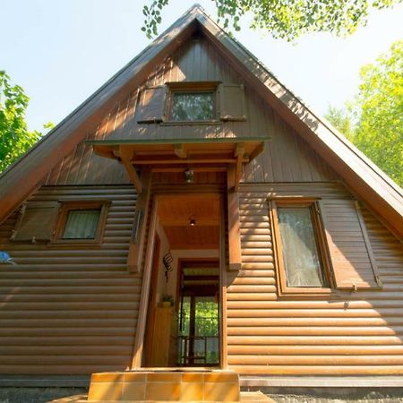 Ferienhaus Ederer วัลด์มึนเคน ภายนอก รูปภาพ